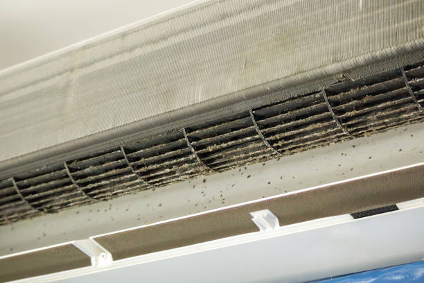 Best Air Duct Cleaning Near Me  in Milford, NE